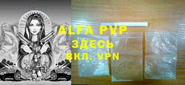 ECSTASY Алзамай