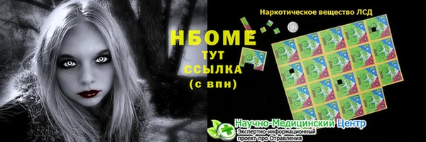 ECSTASY Алзамай